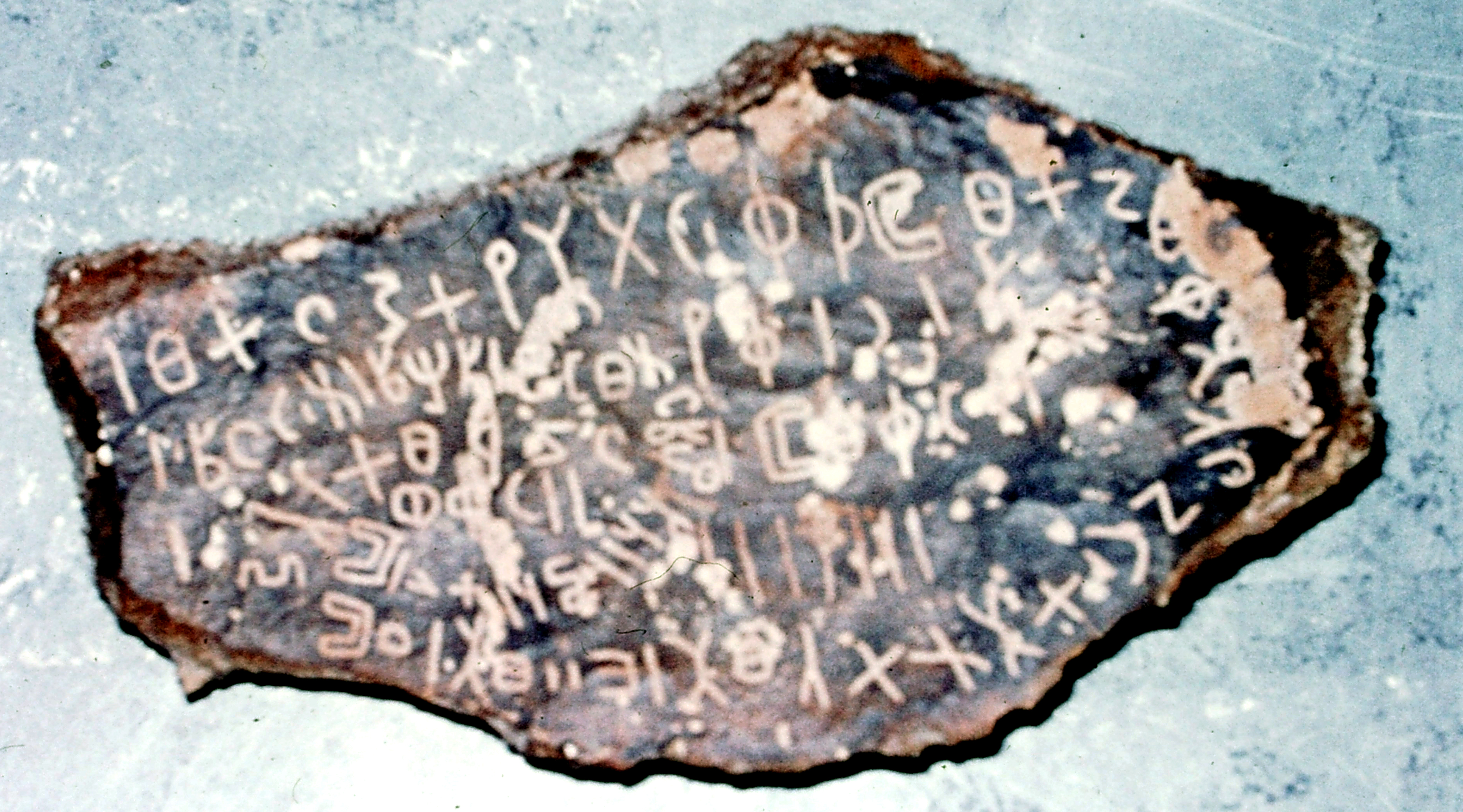 inscription of siglum WAMS 1