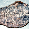 inscription of siglum WAMS 1