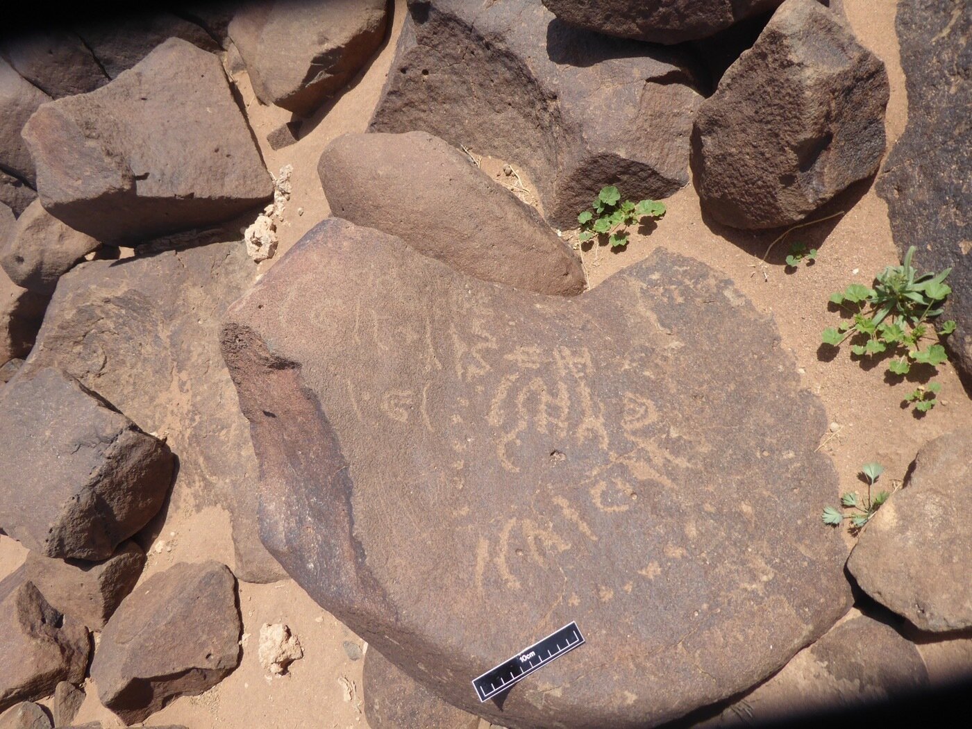 inscription of siglum WH 1062