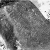 inscription of siglum WH 1218