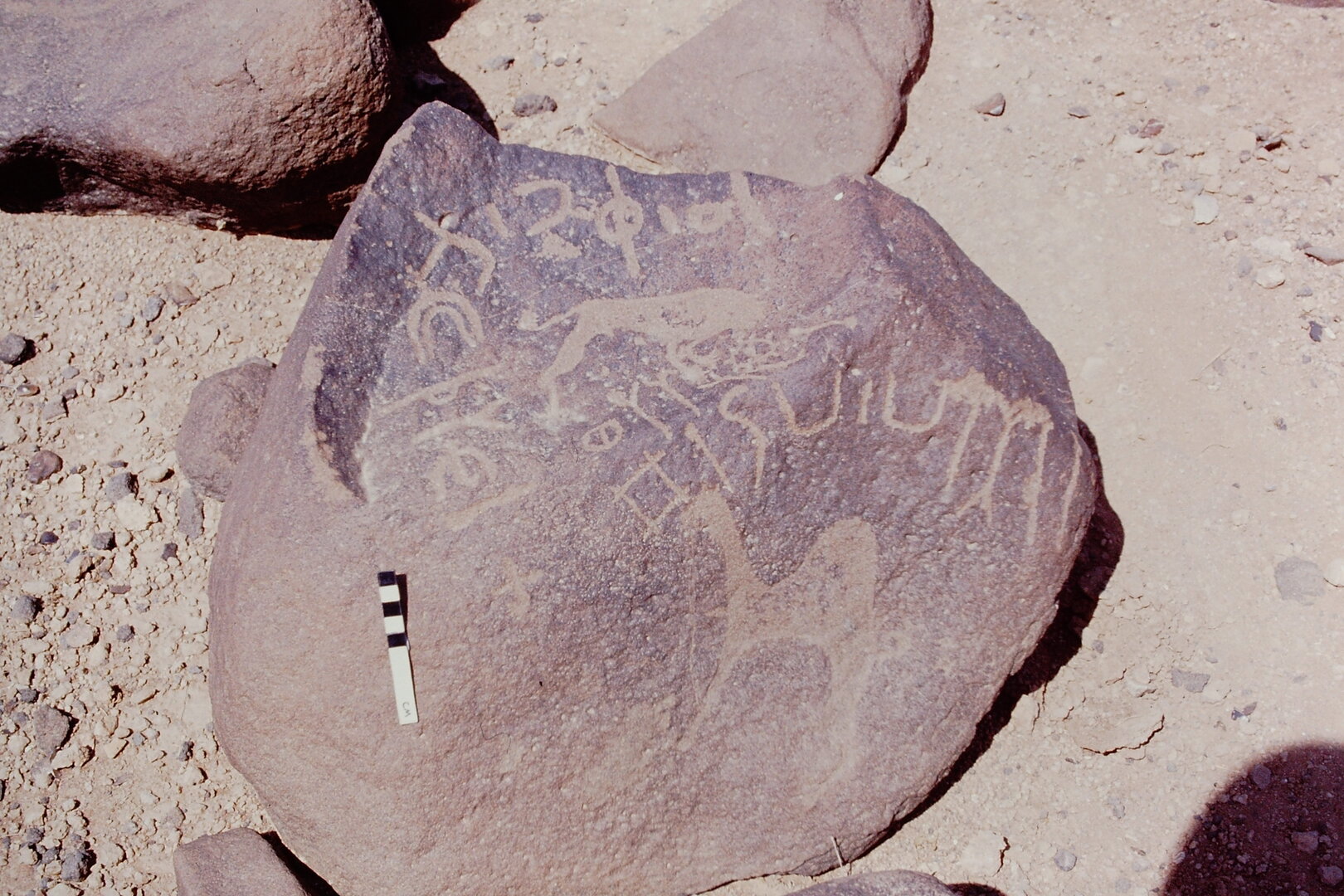 inscription of siglum WH 1229