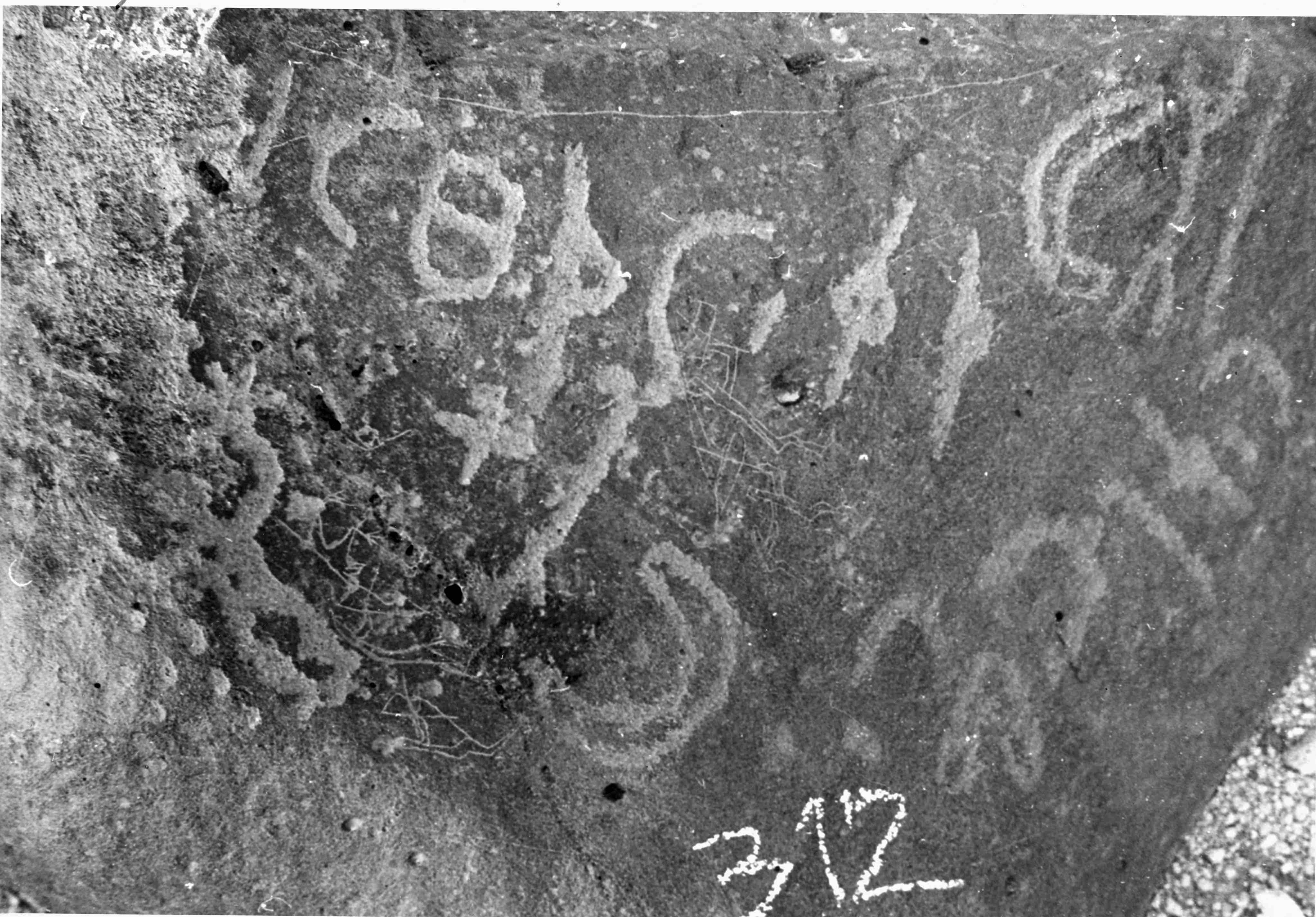 inscription of siglum WH 1459