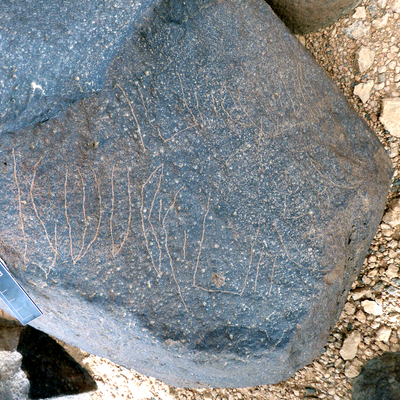 inscription of siglum WH 1712