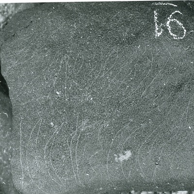 inscription of siglum WH 172