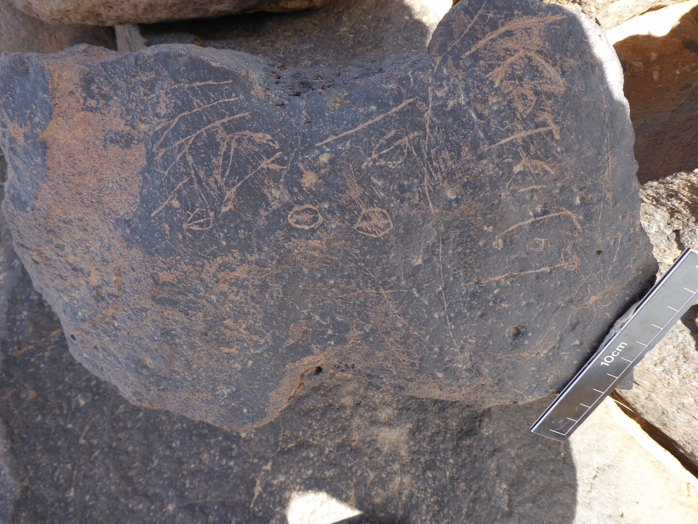 inscription of siglum WH 1803.1