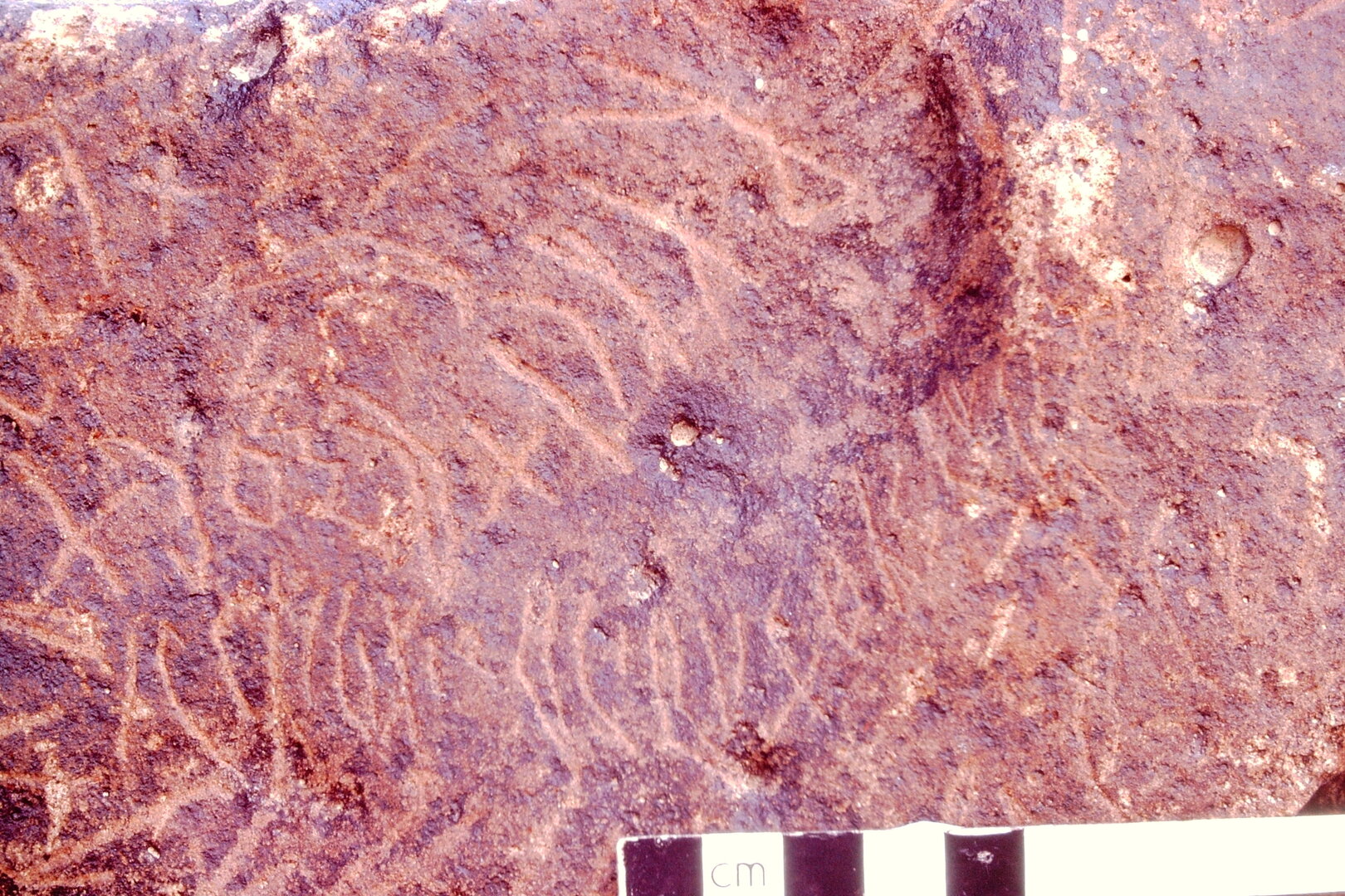 inscription of siglum WH 1903