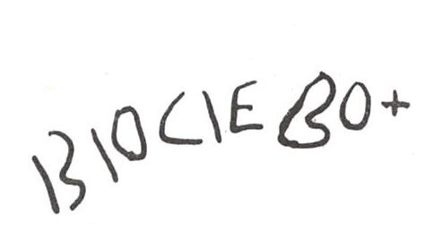 inscription of siglum WH 1991