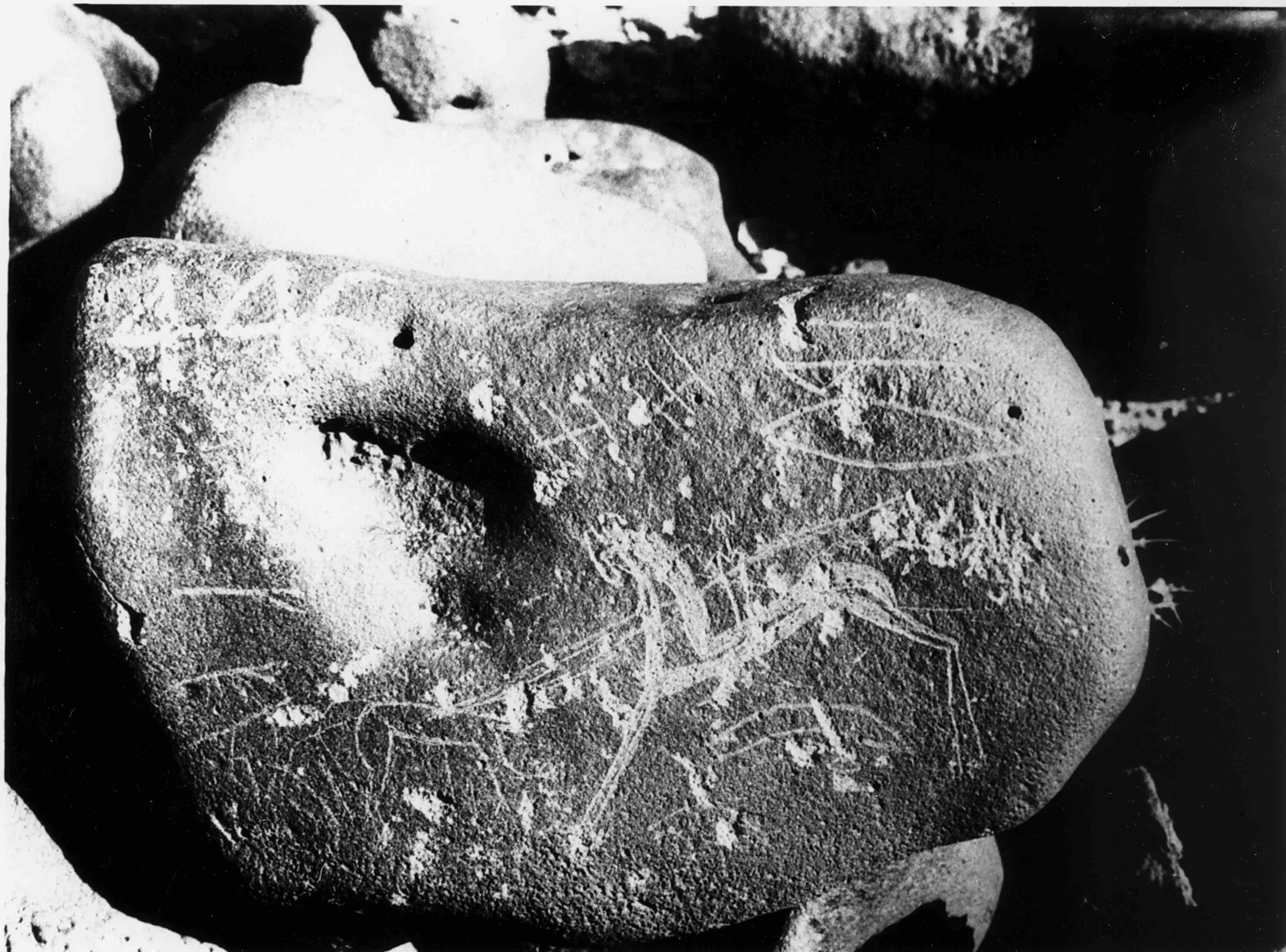 inscription of siglum WH 2109