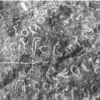 inscription of siglum WH 23