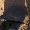 inscription of siglum WH 2519