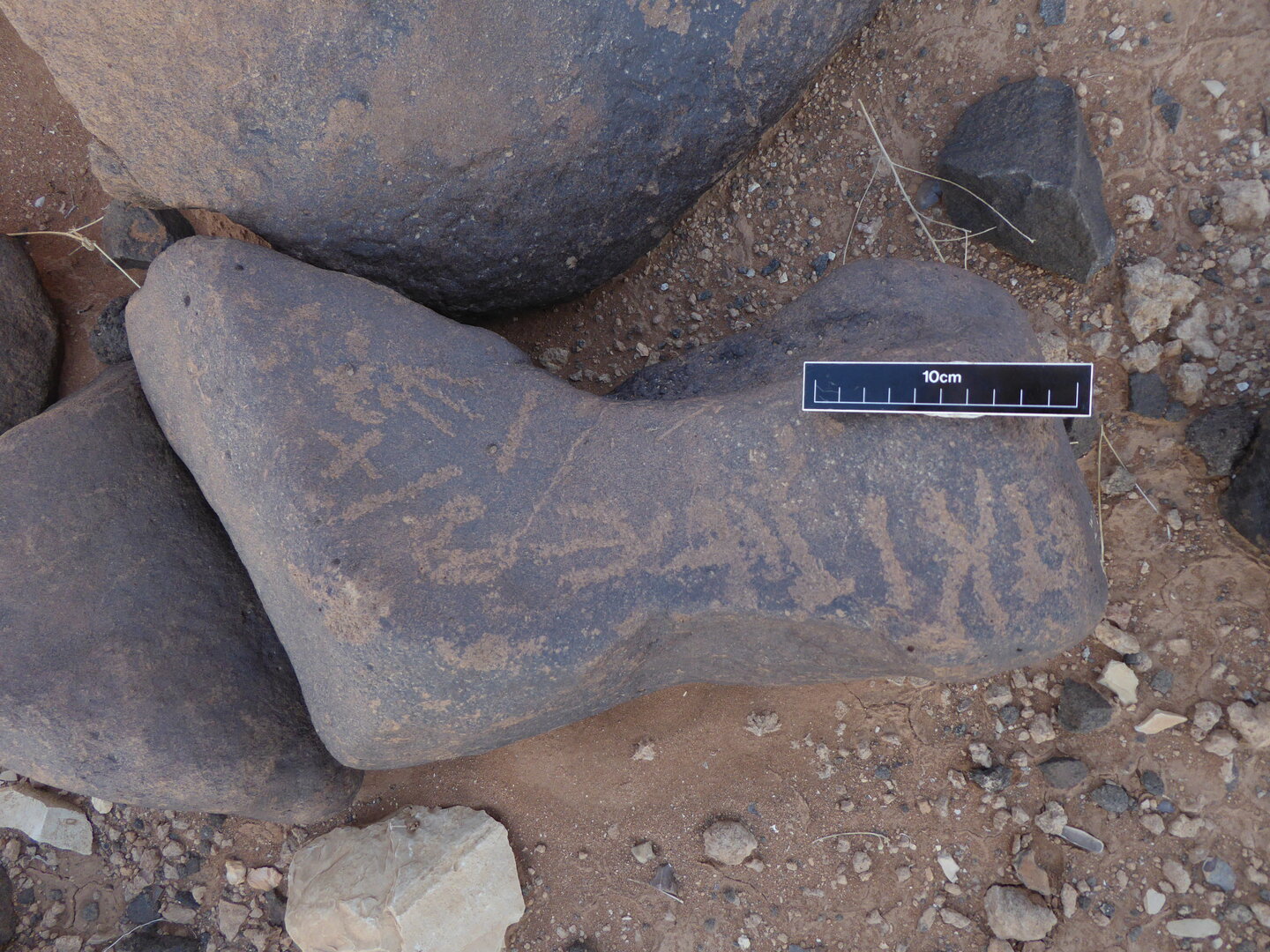 inscription of siglum WH 2556