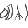 inscription of siglum WH 2564