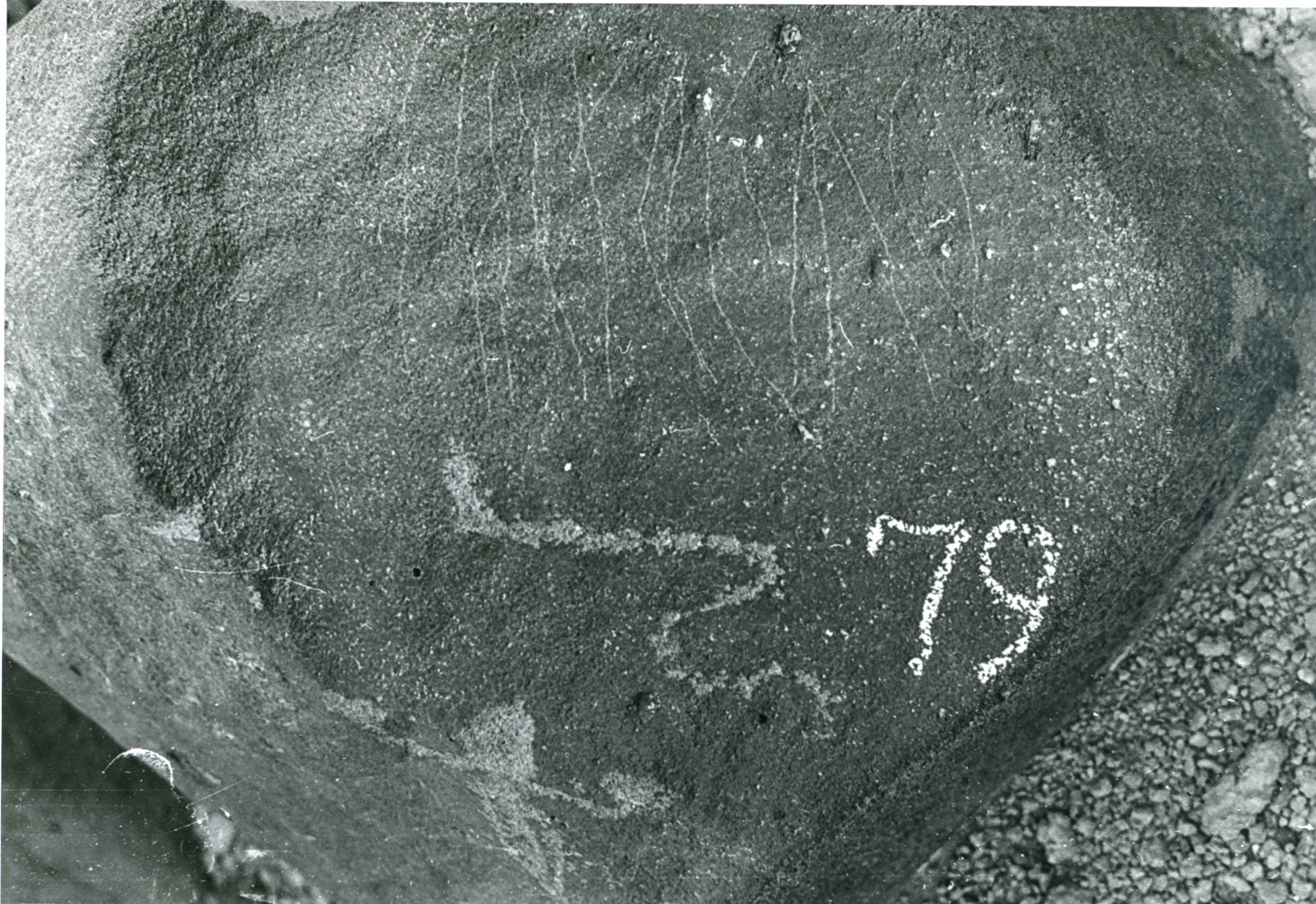 inscription of siglum WH 264