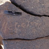 inscription of siglum WH 2804