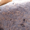 inscription of siglum WH 2815