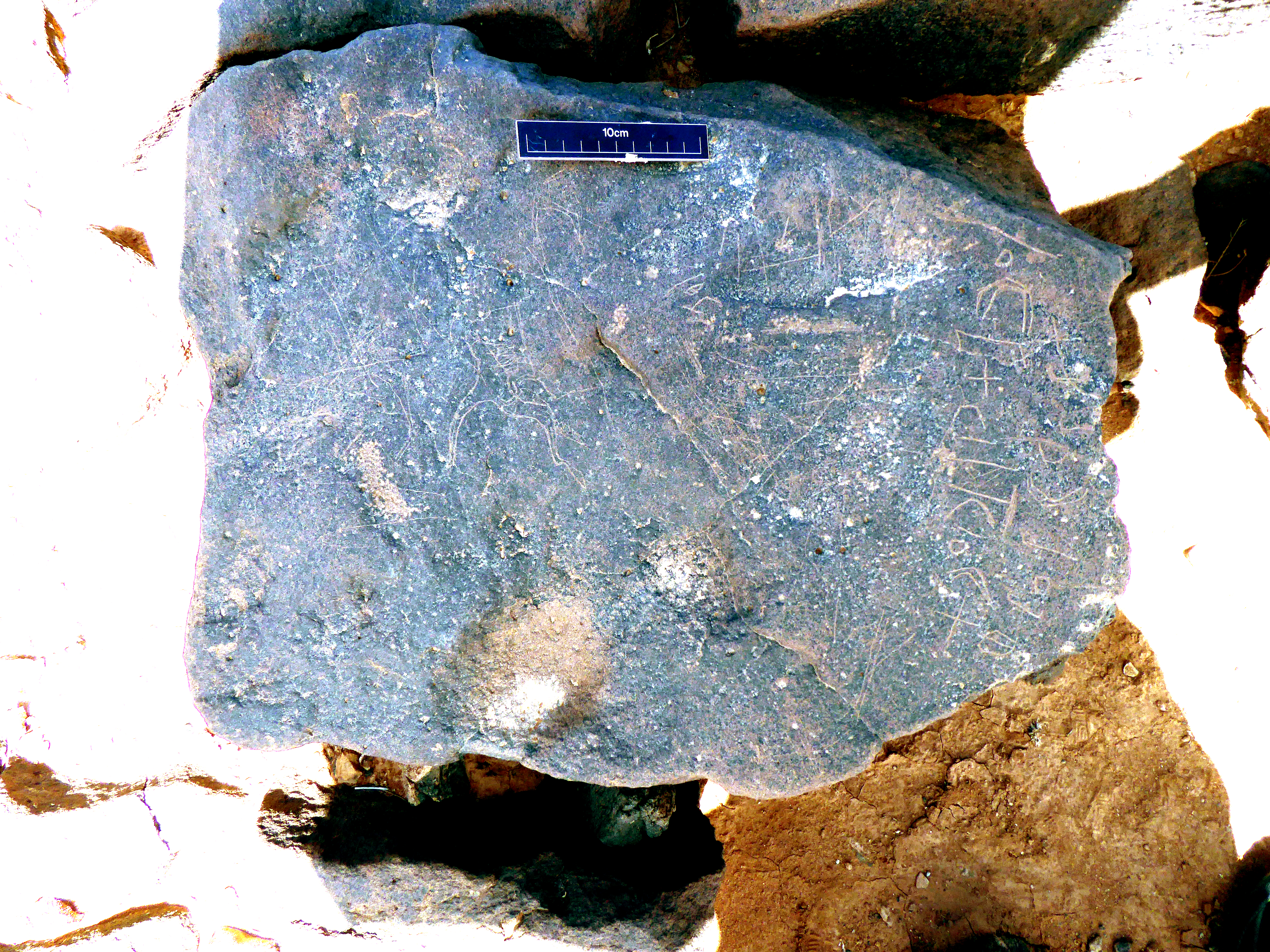 inscription of siglum WH 2816