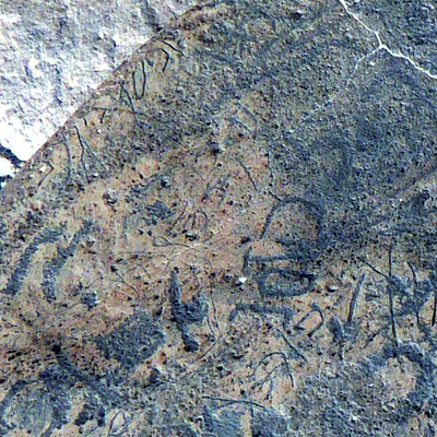 inscription of siglum WH 2881