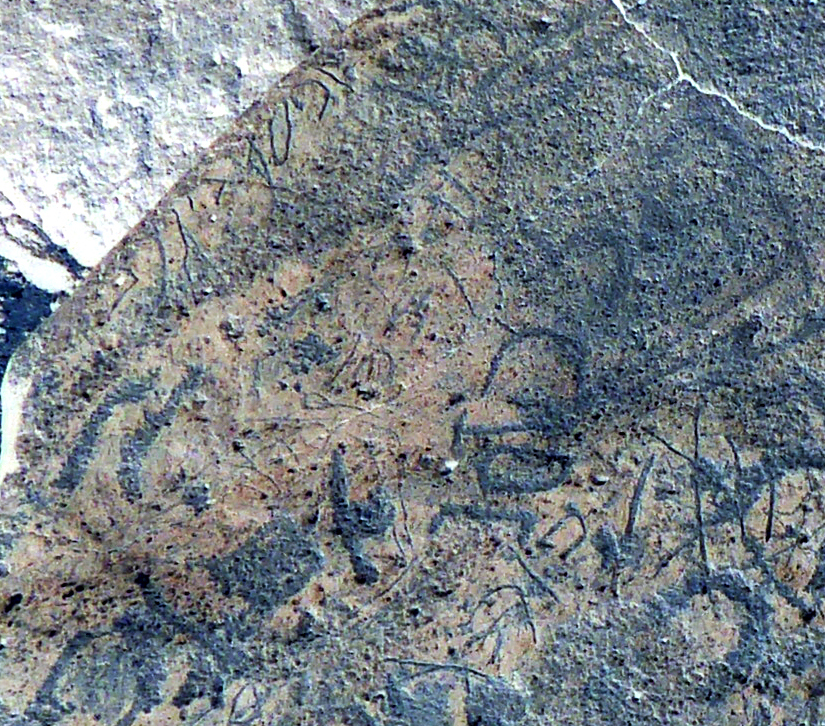 inscription of siglum WH 2881