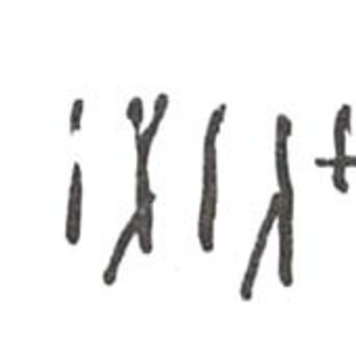 inscription of siglum WH 2990