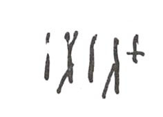 inscription of siglum WH 2990