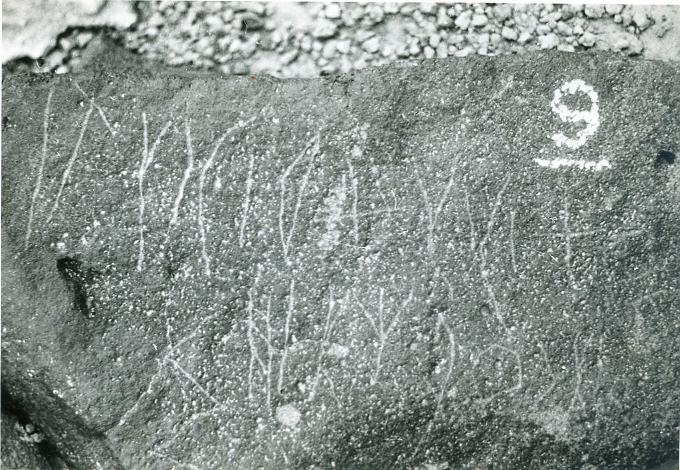 inscription of siglum WH 3