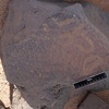 inscription of siglum WH 3036.1