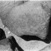 inscription of siglum WH 3342