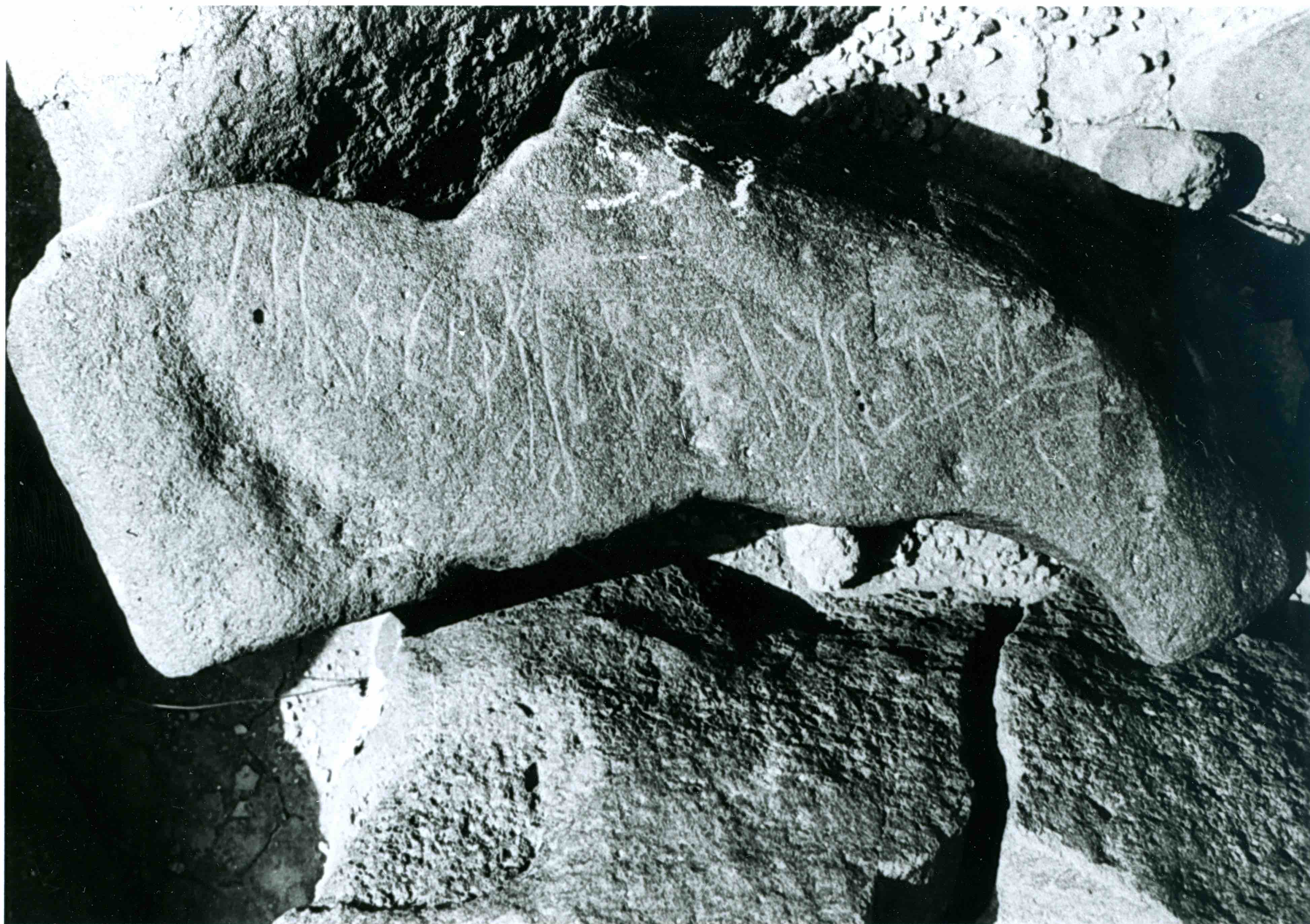 inscription of siglum WH 3364