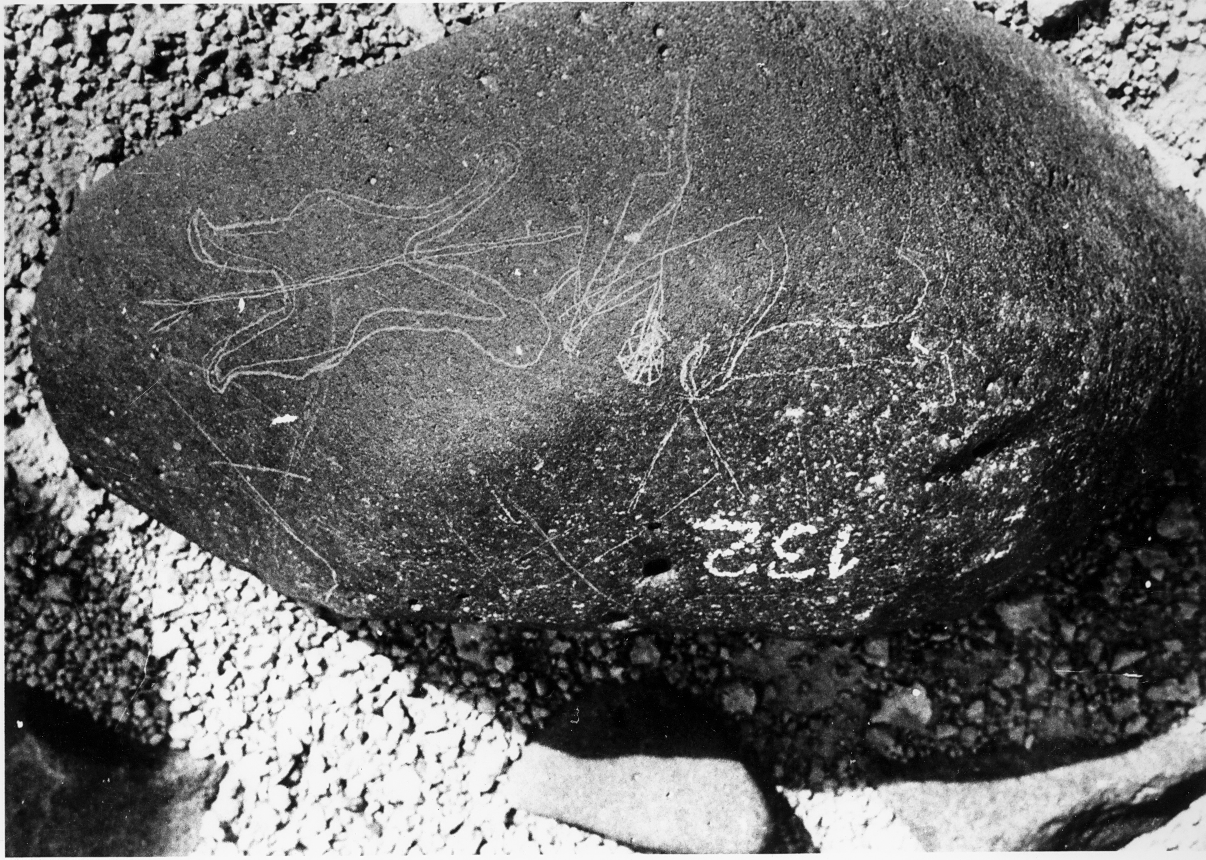 inscription of siglum WH 343