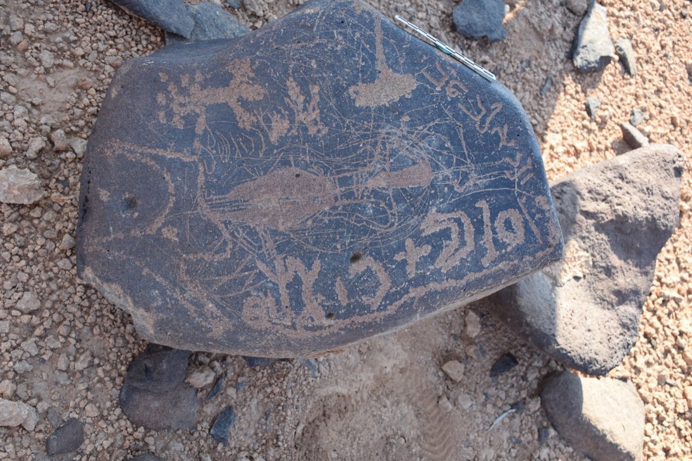 inscription of siglum WH 355