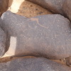 inscription of siglum WH 3602