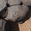 inscription of siglum WH 3808