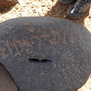 inscription of siglum WH 3820