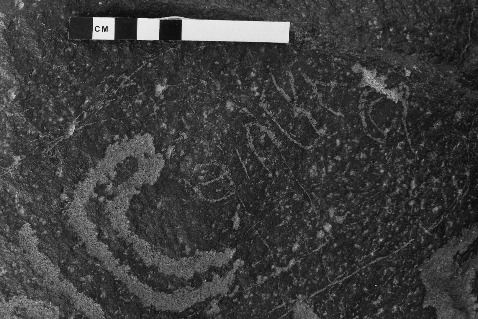 inscription of siglum WH 3913
