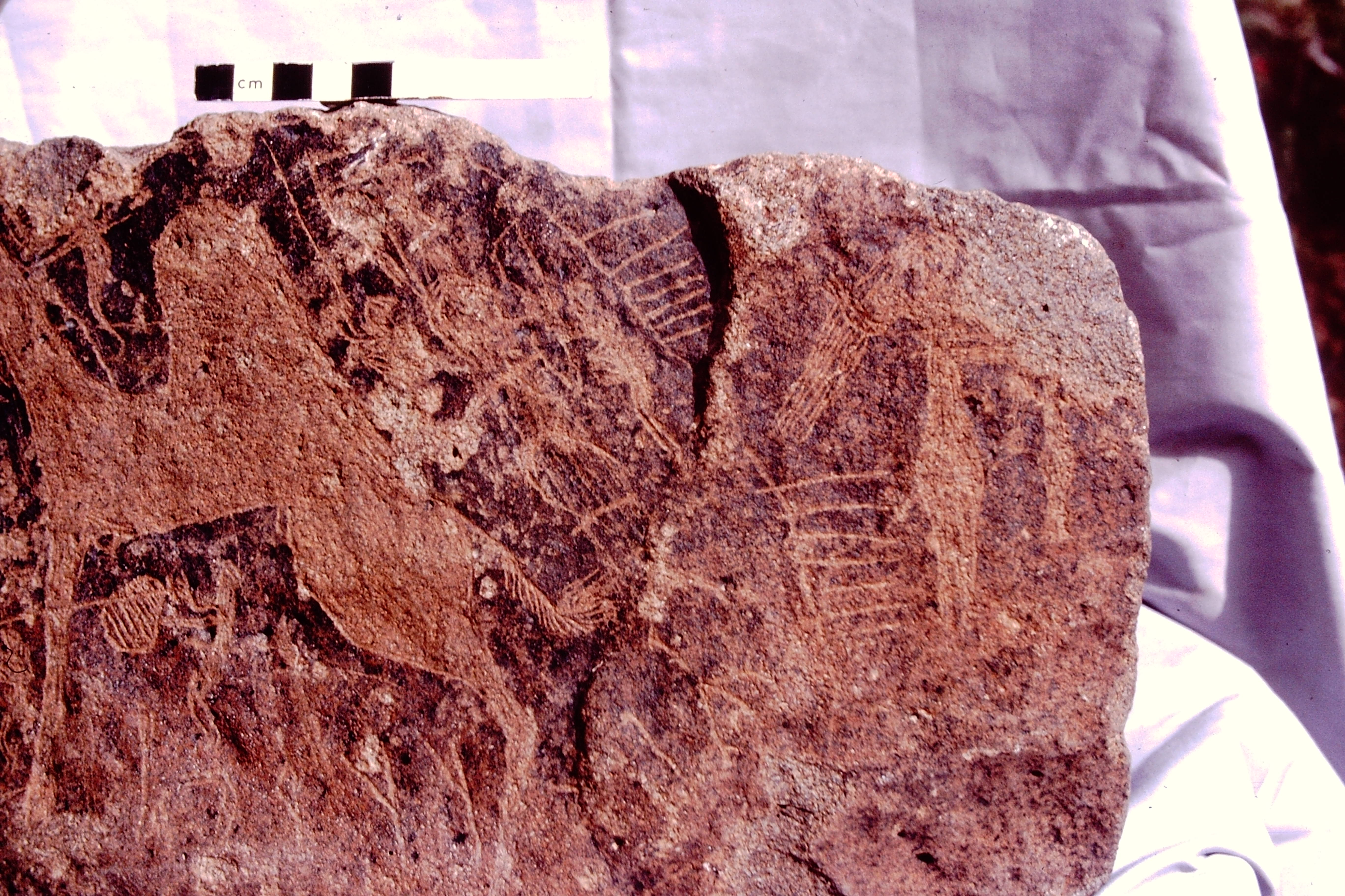 inscription of siglum WH 3914