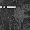 inscription of siglum WH 3916.1