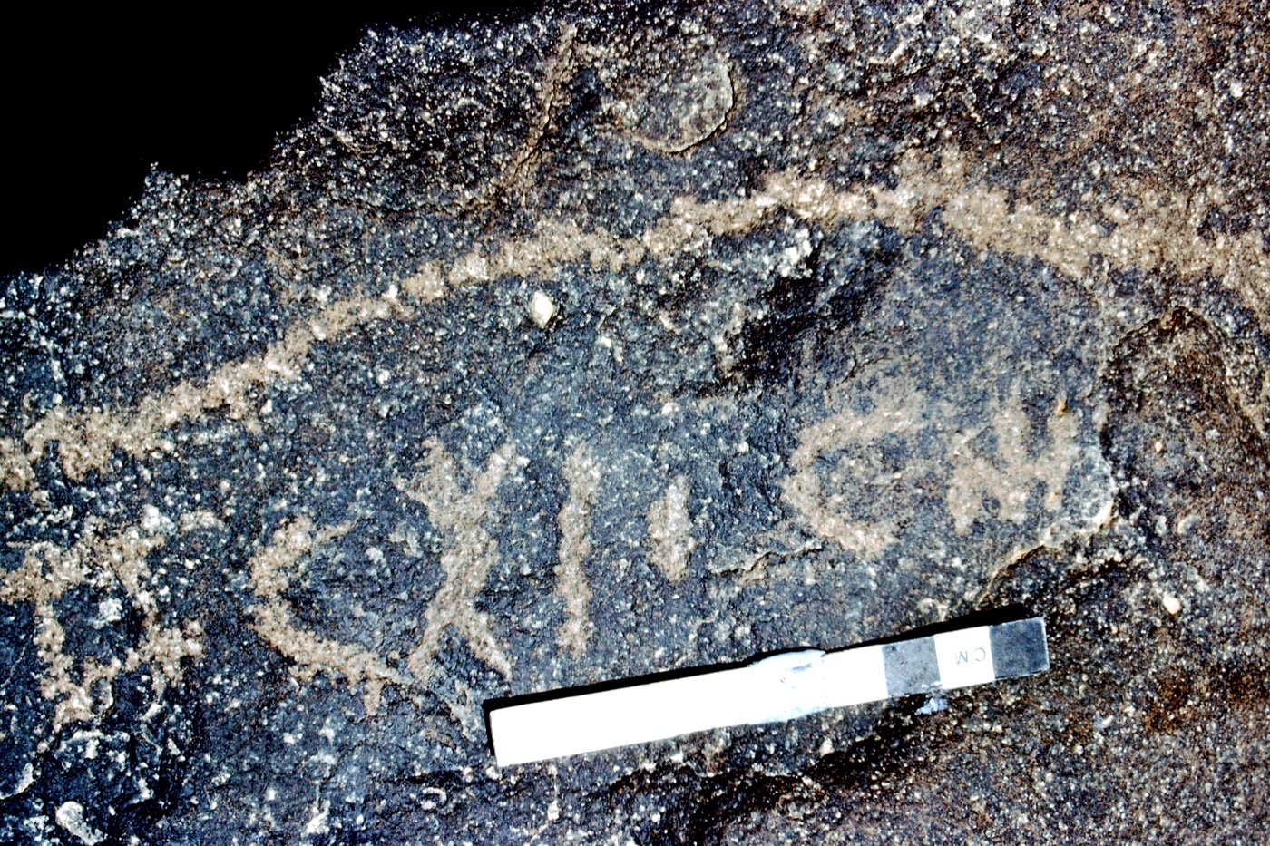 inscription of siglum WH 3925