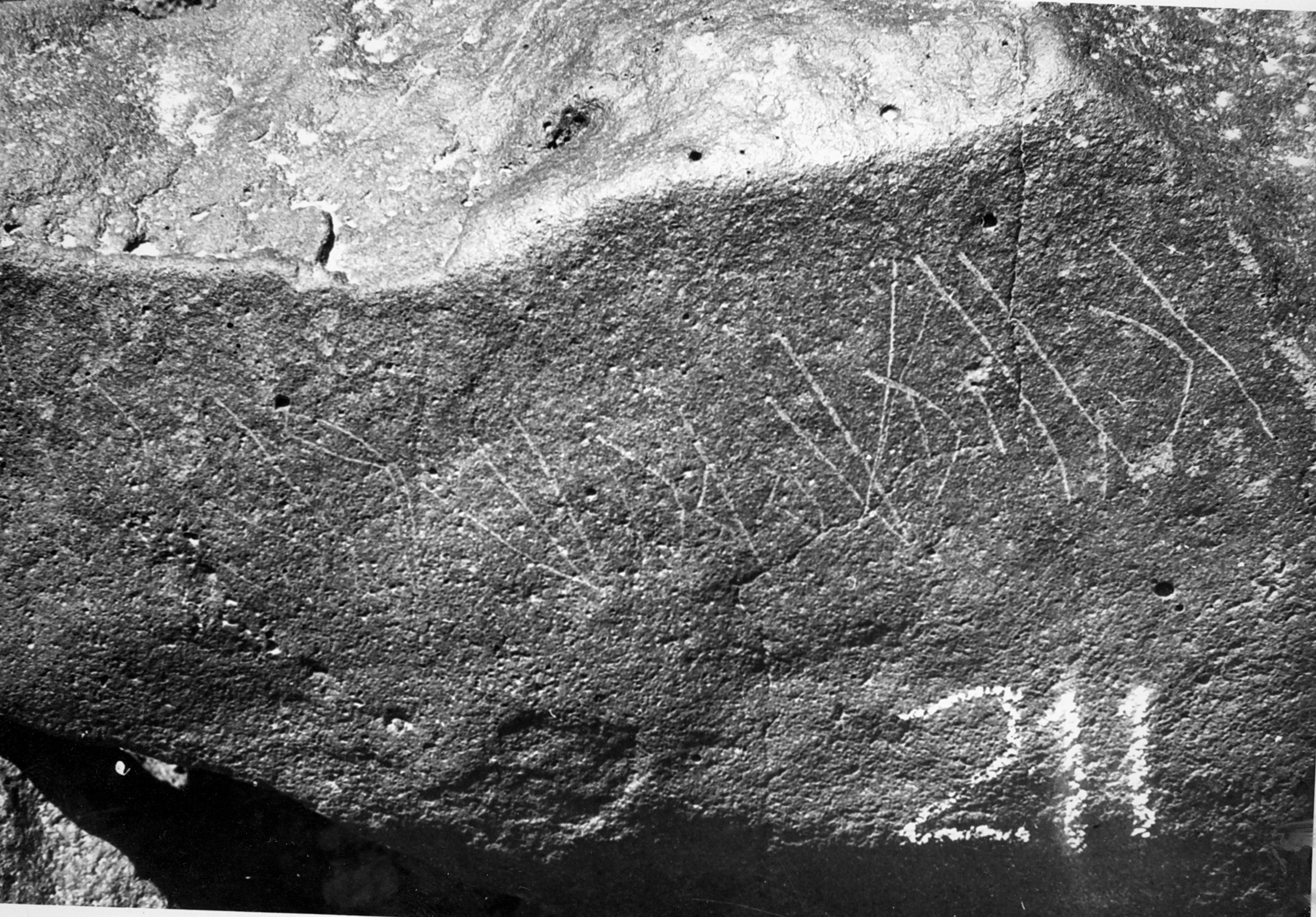 inscription of siglum WH 495