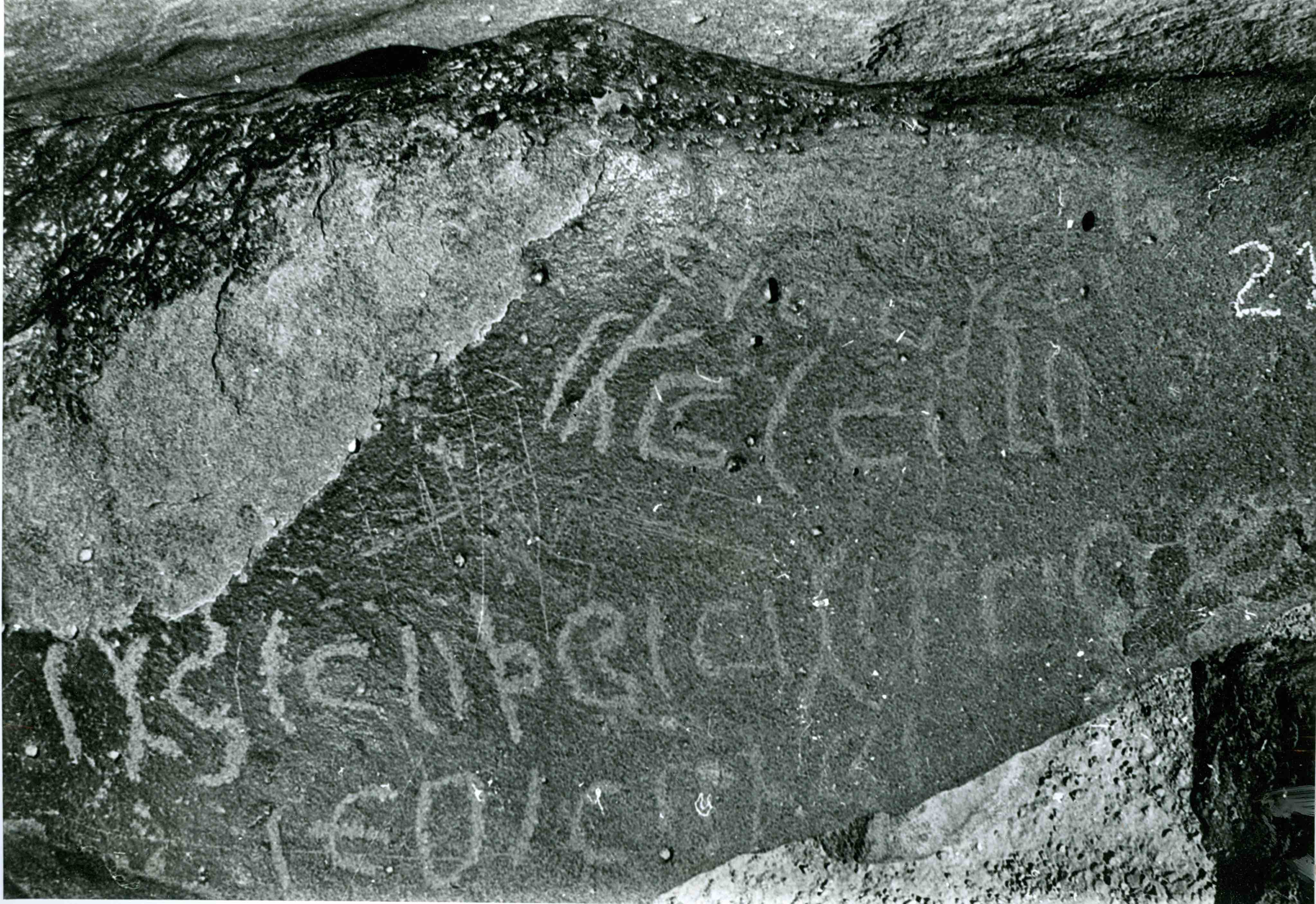 inscription of siglum WH 497