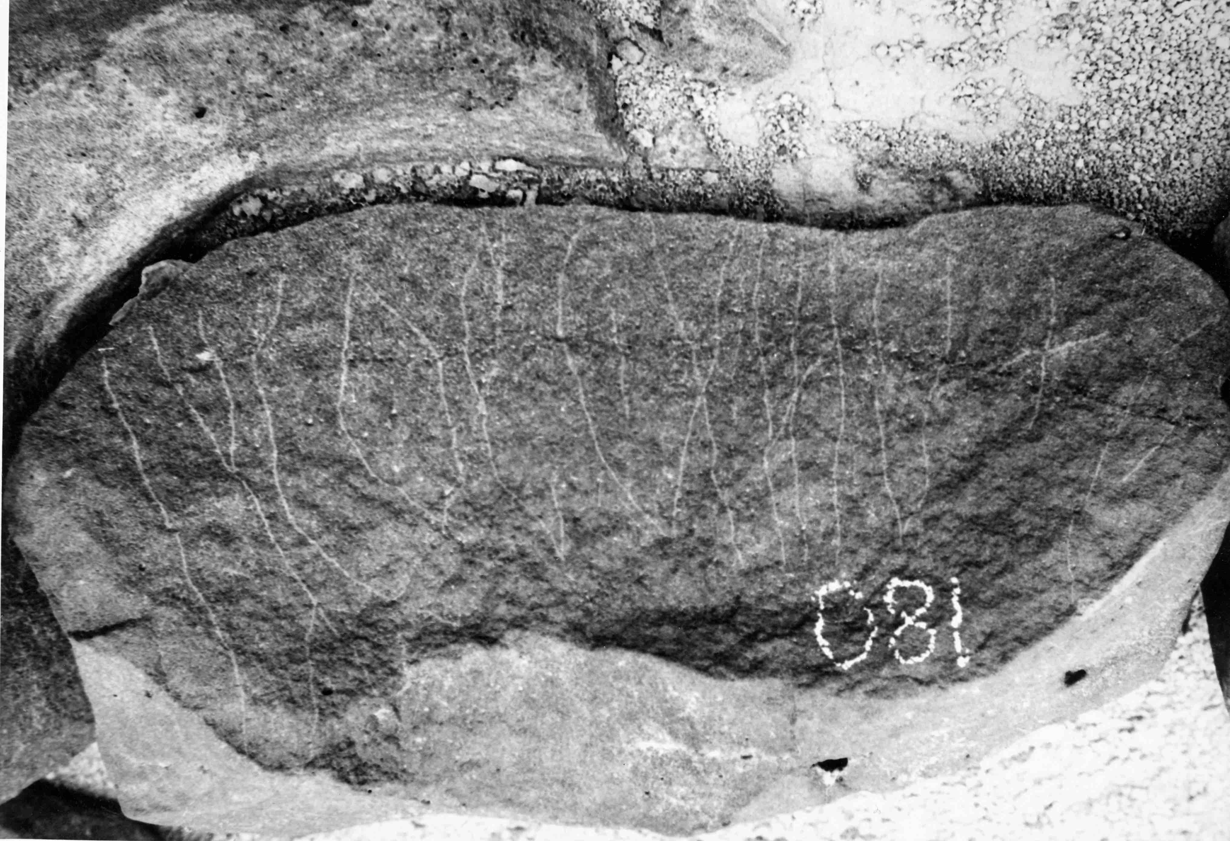 inscription of siglum WH 589