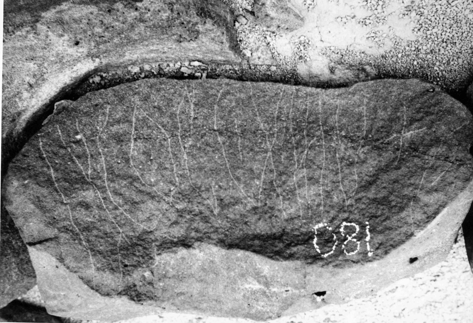 inscription of siglum WH 590