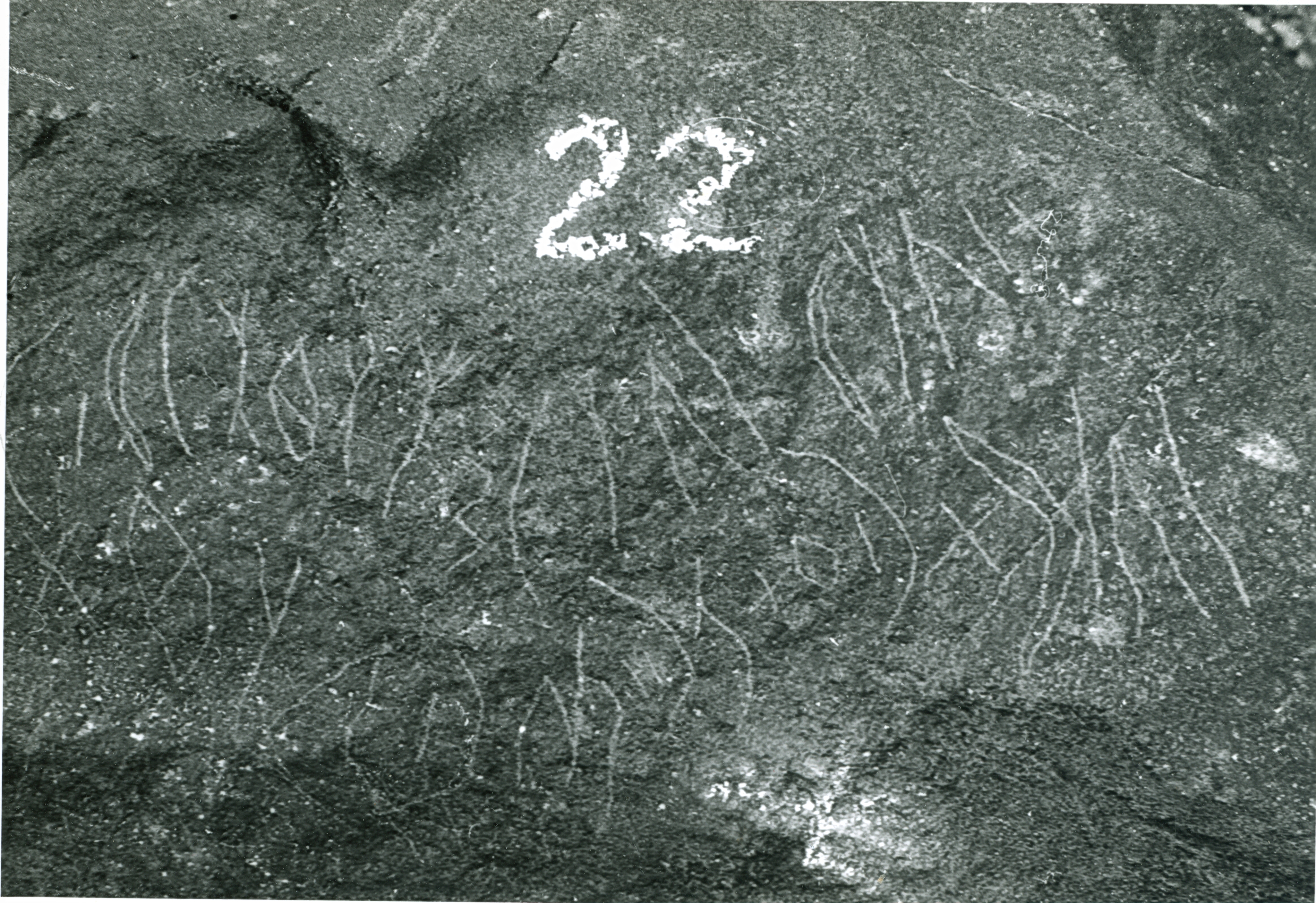 inscription of siglum WH 61