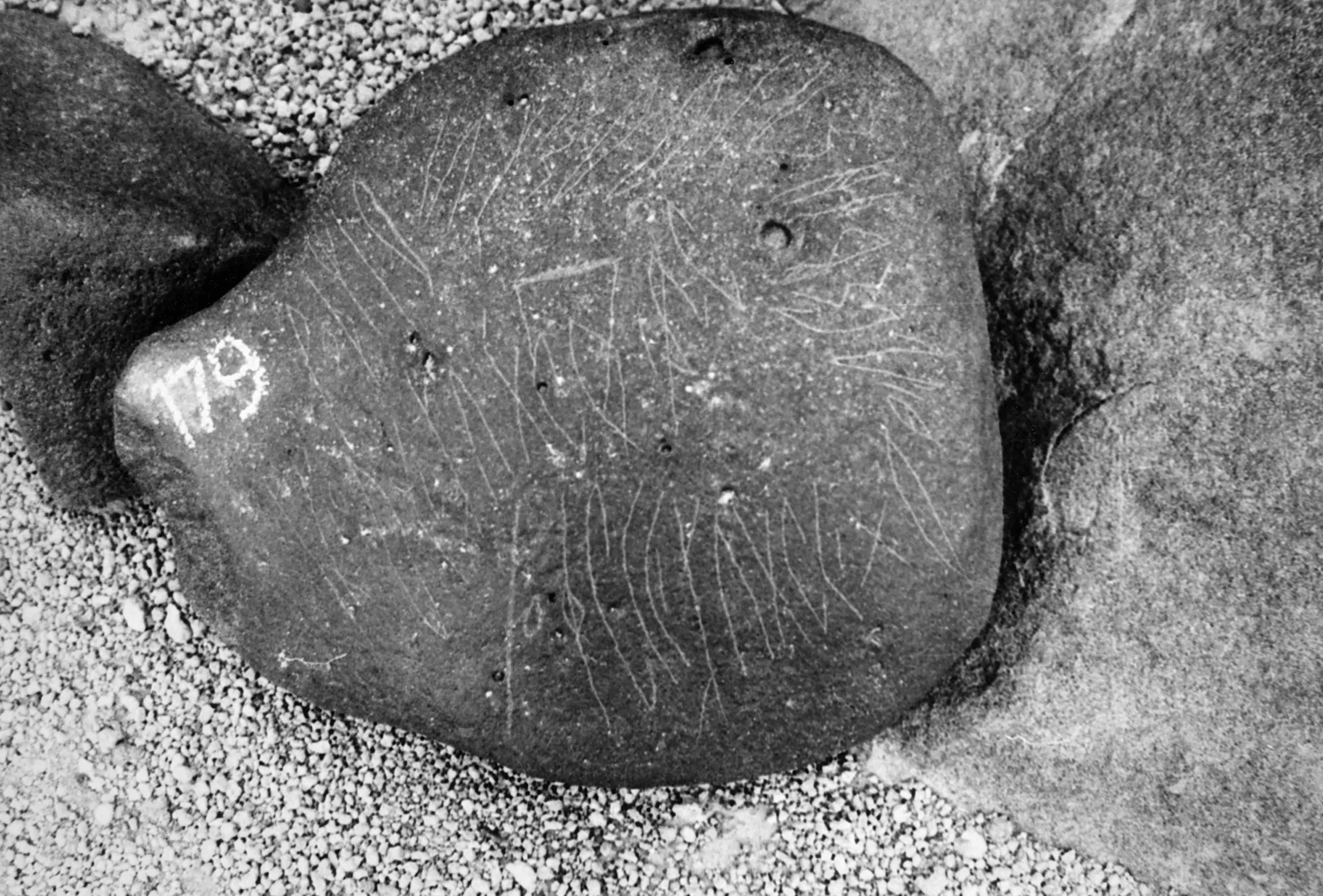 inscription of siglum WH 613