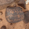 inscription of siglum WH 622