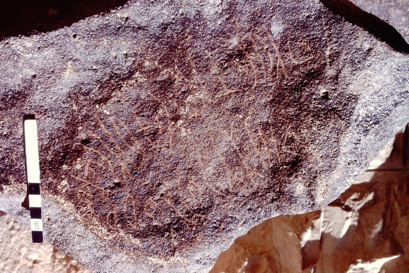 inscription of siglum WH 7