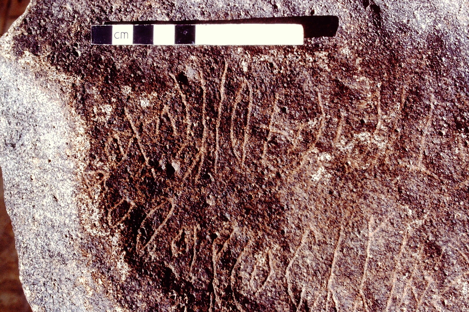 inscription of siglum WH 7