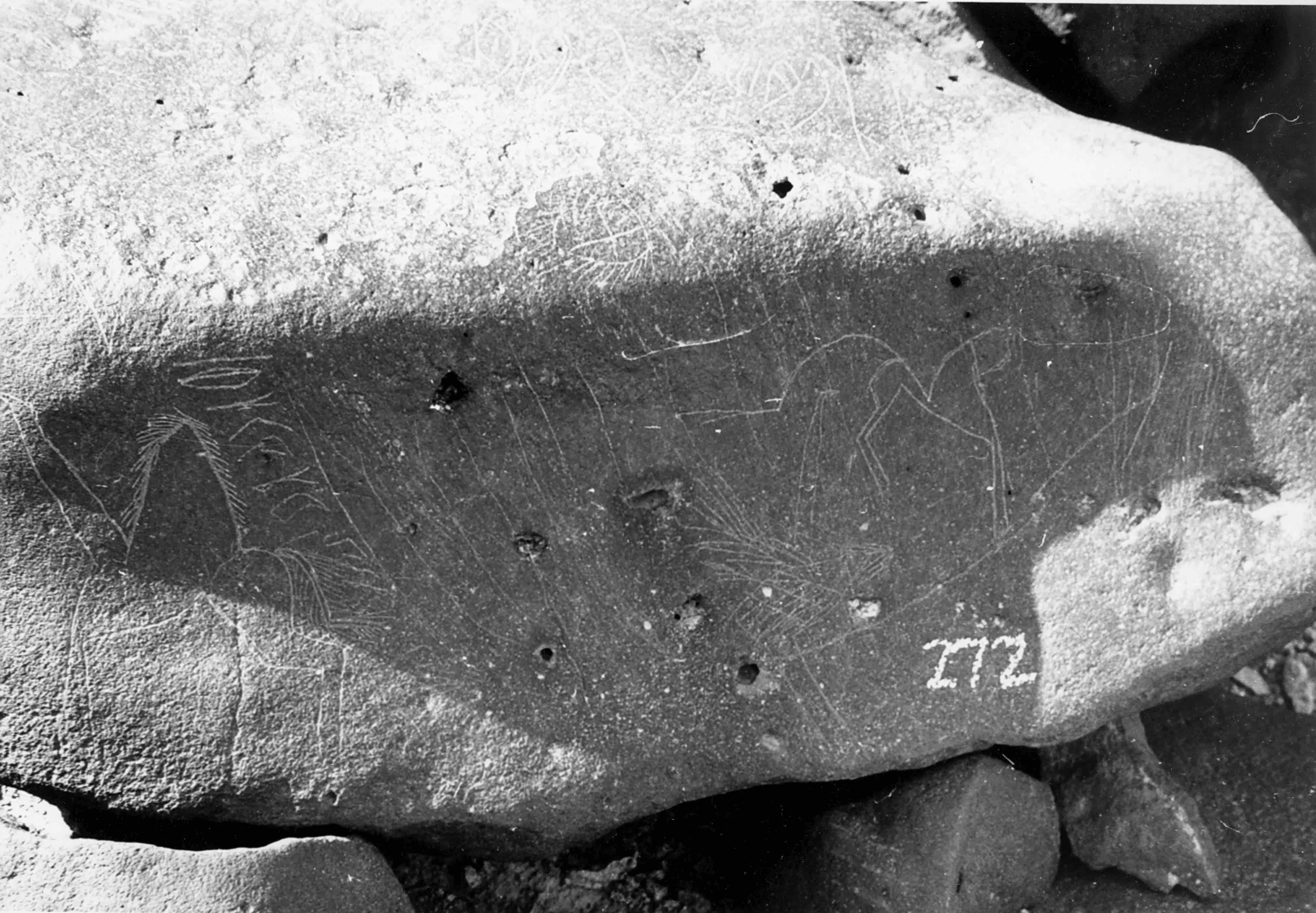 inscription of siglum WH 738