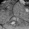 inscription of siglum WH 76