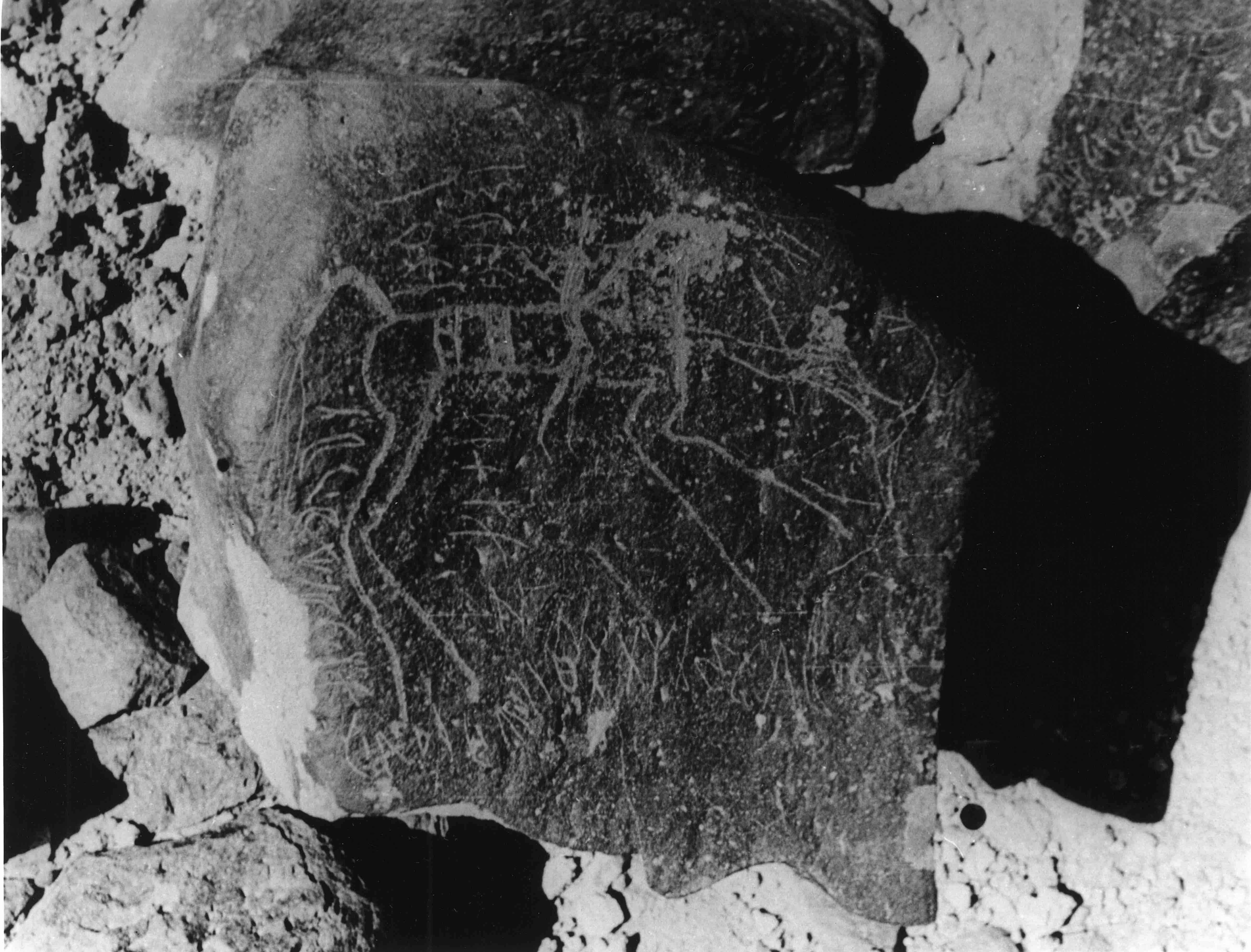 inscription of siglum WH 886