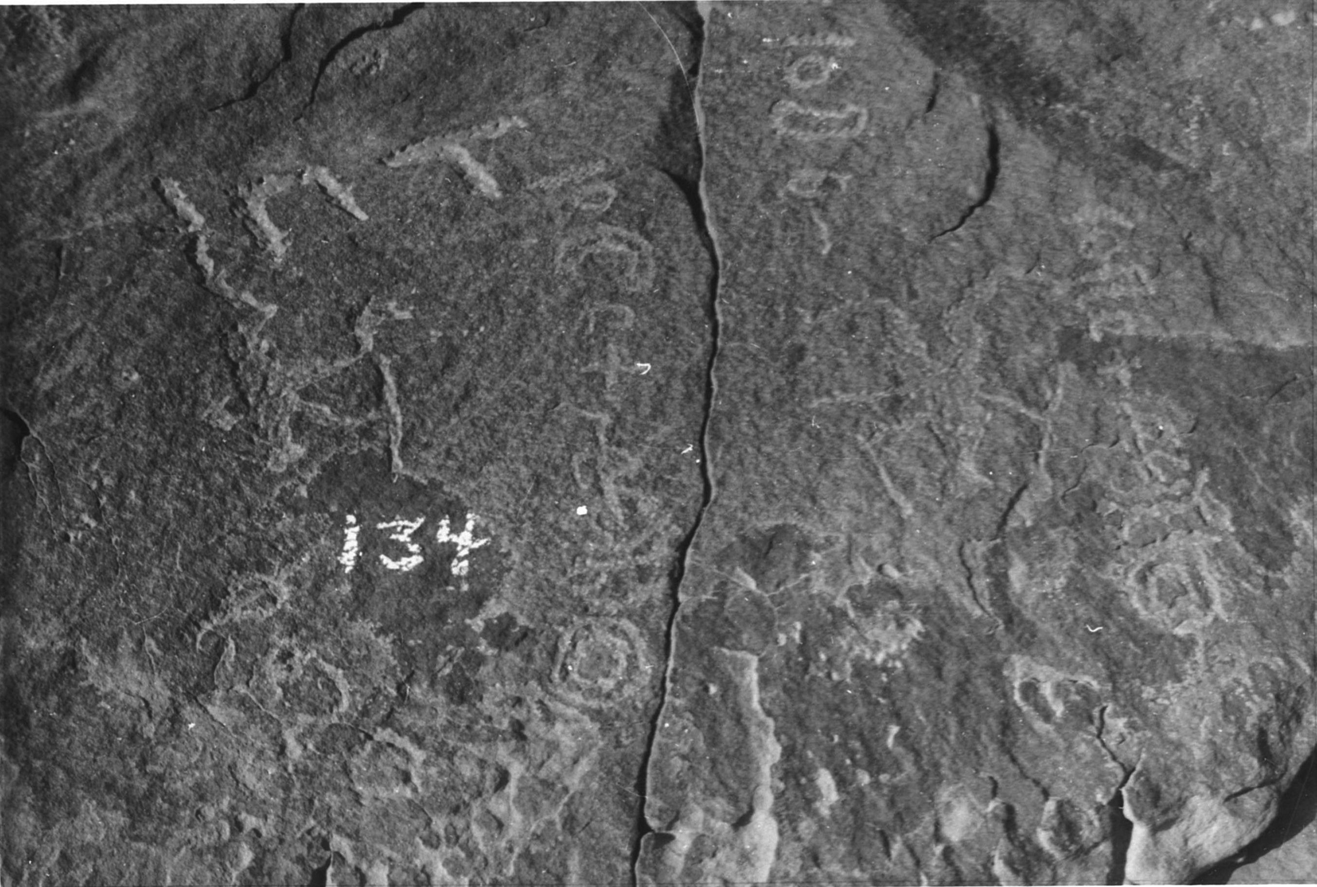 inscription of siglum WTI 48.1/1